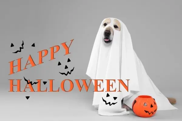 Happy Halloween from Hunters Creek Mortgage LLC